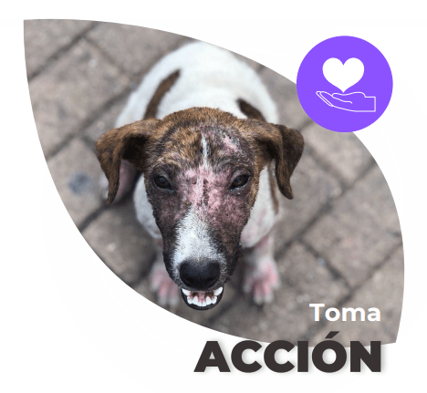 MapaTerrenos img_sec2